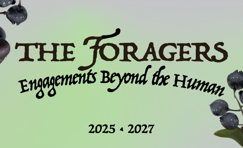 The Foragers